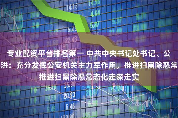 专业配资平台排名第一 中共中央书记处书记、公安部部长王小洪：充分发挥公安机关主力军作用，推进扫黑除恶常态化走深走实
