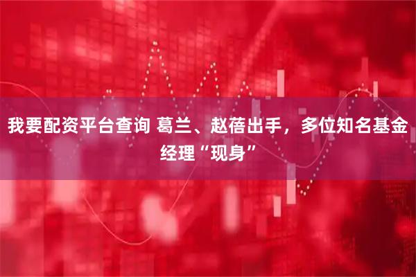 我要配资平台查询 葛兰、赵蓓出手，多位知名基金经理“现身”